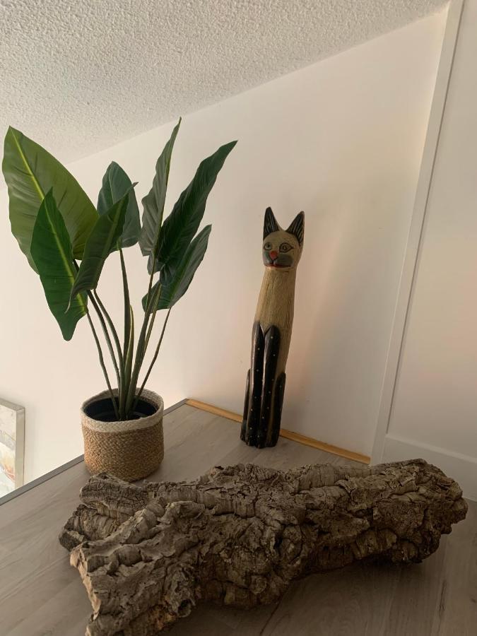 Duplex Raphael- Wi-Fi Et Parking Prive Apartman Toulon Kültér fotó